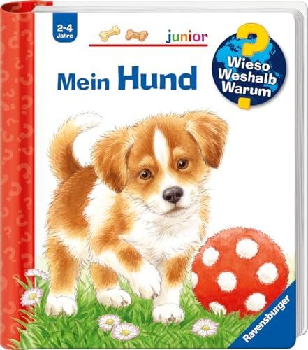 Wieso? Weshalb? Warum? junior, Band 41: Mein Hund