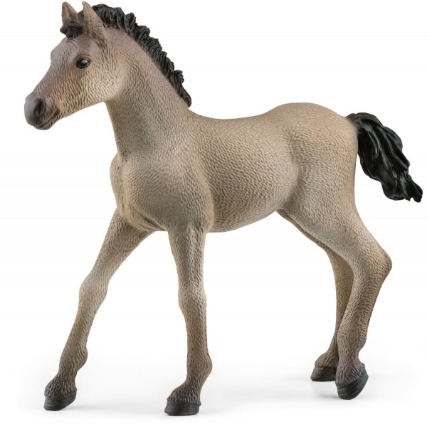 Schleich Criollo Definitivo Fohlen