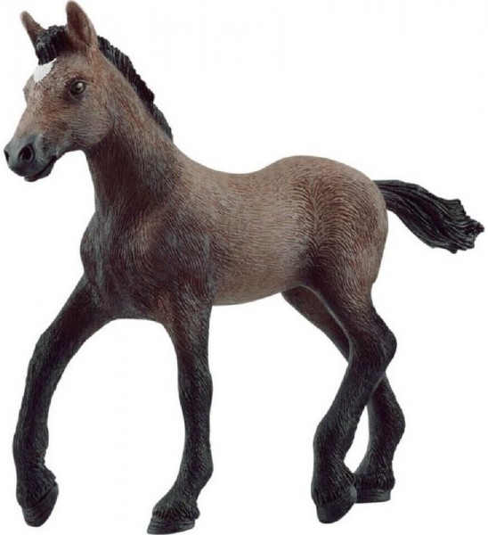 Schleich Paso Peruano Fohlen