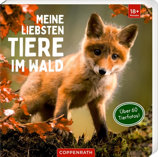 Coppenrath Verlag Meine liebsten Tiere im Wald