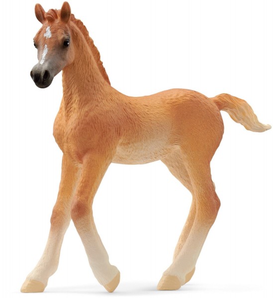 Schleich Araber Fohlen