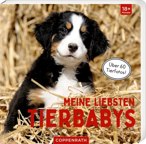 Coppenrath Verlag Meine liebsten Tierbabys