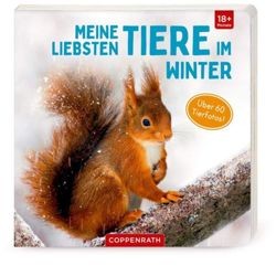 Coppenrath Verlag Meine liebsten Tiere im Winter