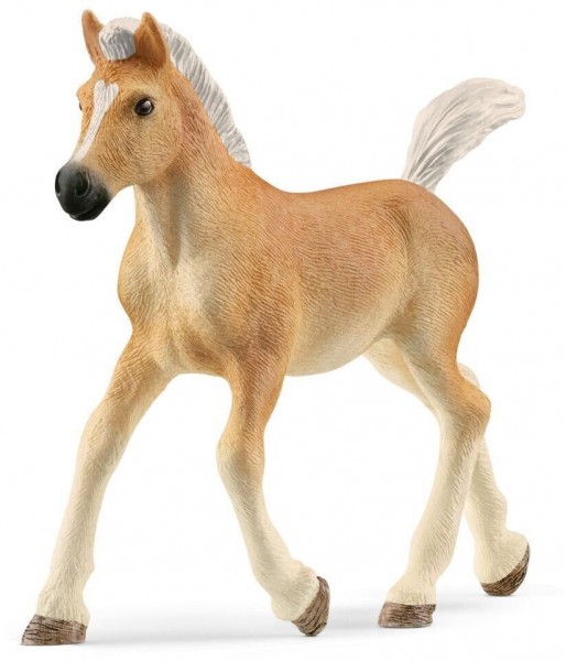 Schleich Haflinger Fohlen