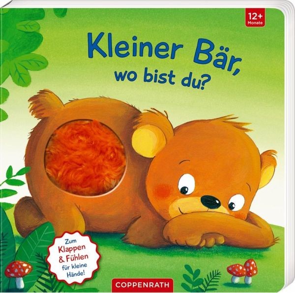 Coppenrath Verlag Mein 1. Guckloch-Fühlbuch: Kl. Bär, wo bist du? (Fühl.&beg.)