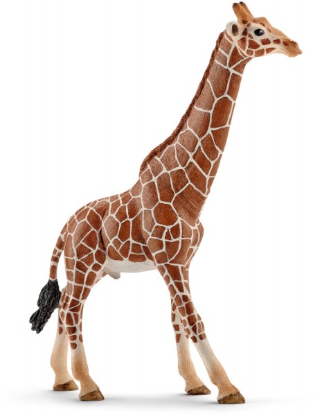 Schleich Giraffenbulle