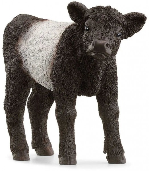 Schleich Galloway Kalb