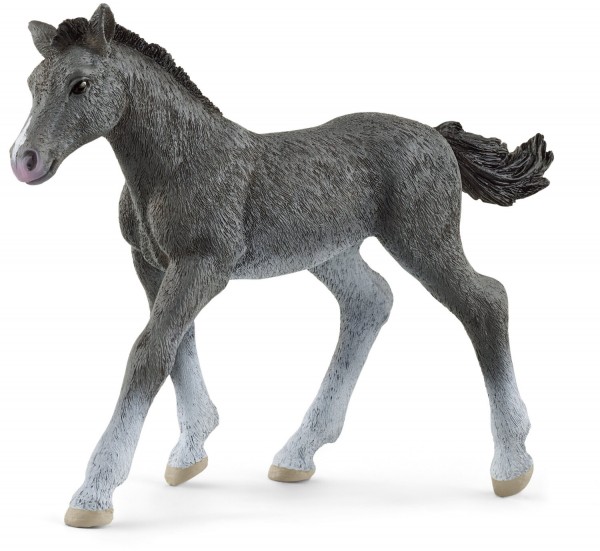 Schleich Trakehner Fohlen