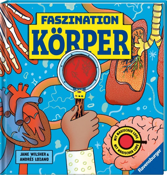 Faszination Körper