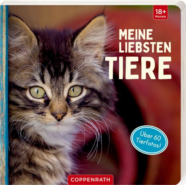 Coppenrath Verlag Meine liebsten Tiere